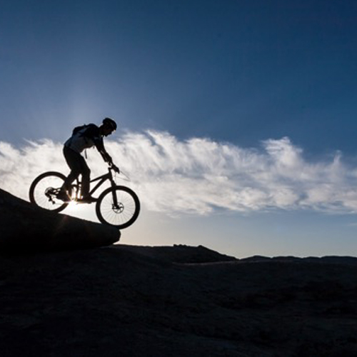 Silhouette of a person mountain biking.