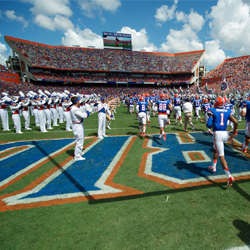 photo of the Florida Gators football field.