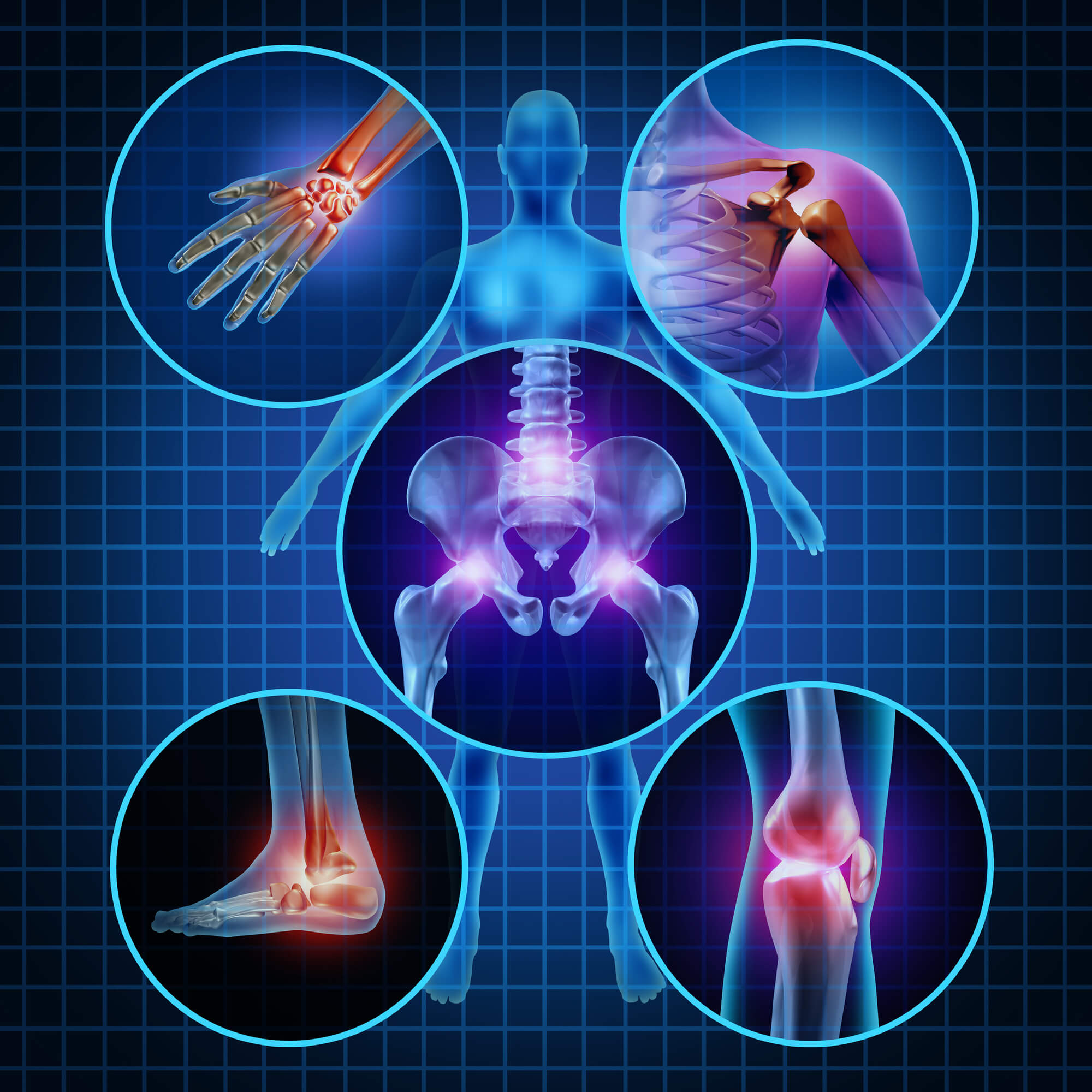 Illustration of human anatomy, highlight the five joint areas.