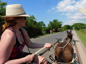 Anna riding on a carriage with a horse.